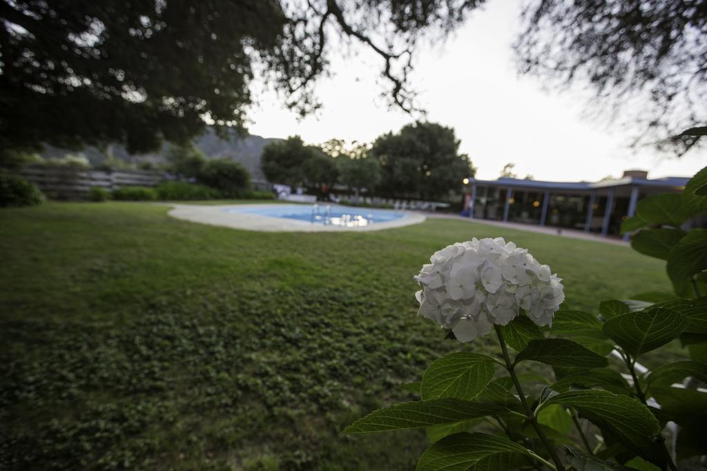 The Blue Sky Lodge Carmel Valley Exteriör bild