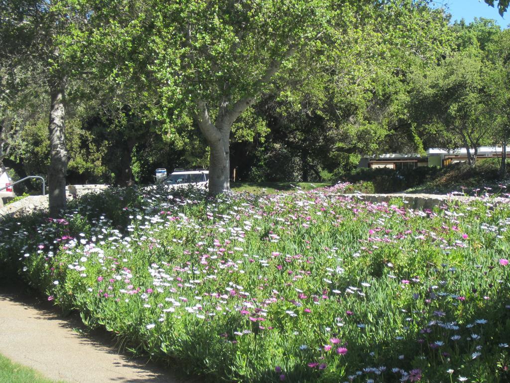 The Blue Sky Lodge Carmel Valley Exteriör bild