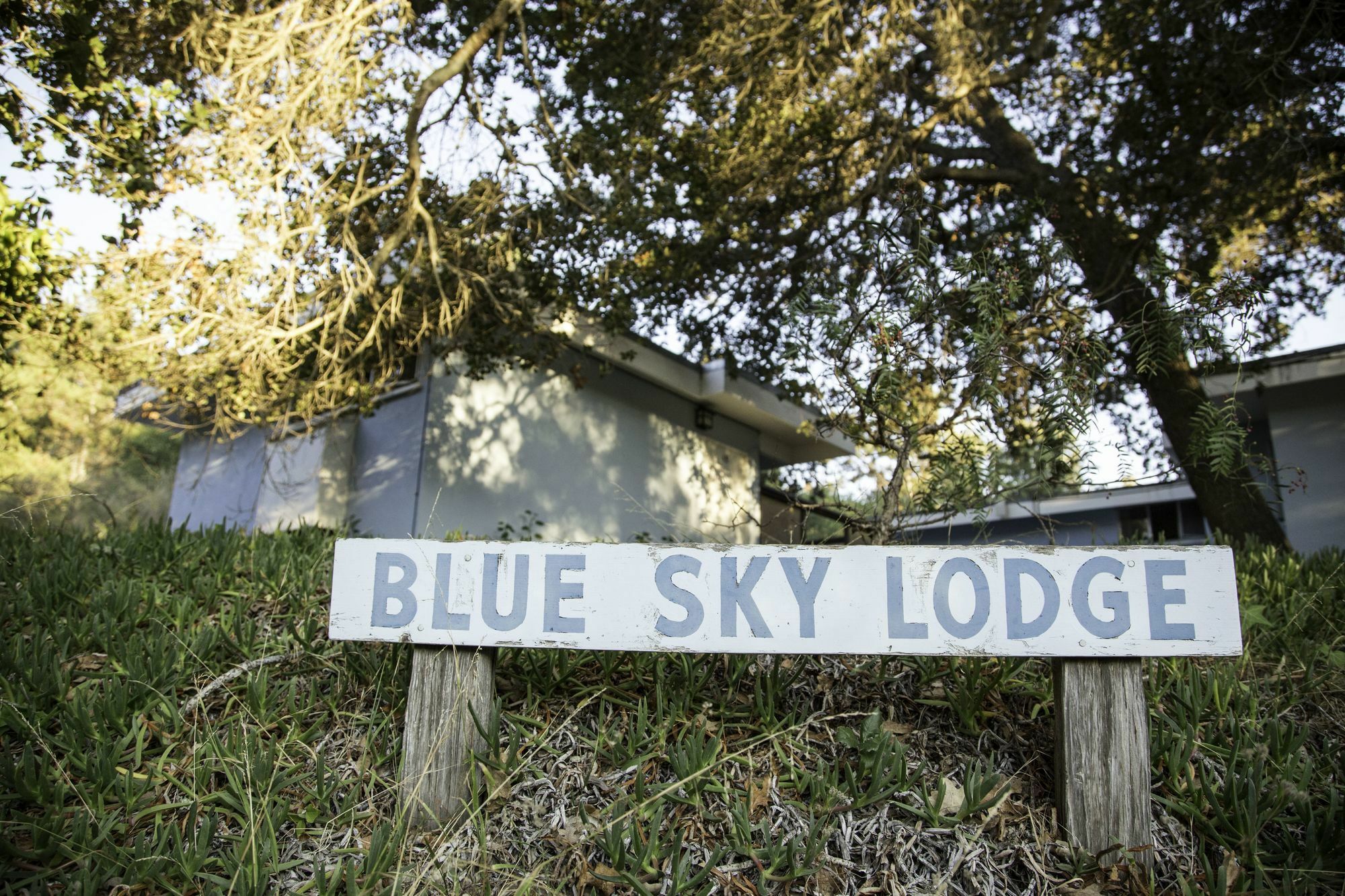 The Blue Sky Lodge Carmel Valley Exteriör bild