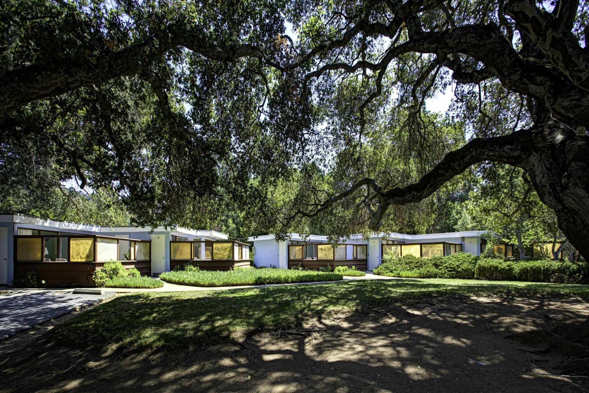 The Blue Sky Lodge Carmel Valley Exteriör bild